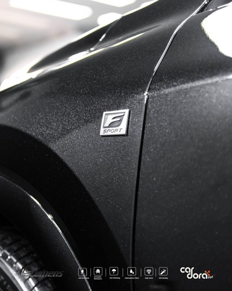 PPF-LEXUS-500-GRAY-26.05-20.jpg